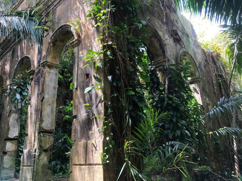 Foto: Divulgação/Sema