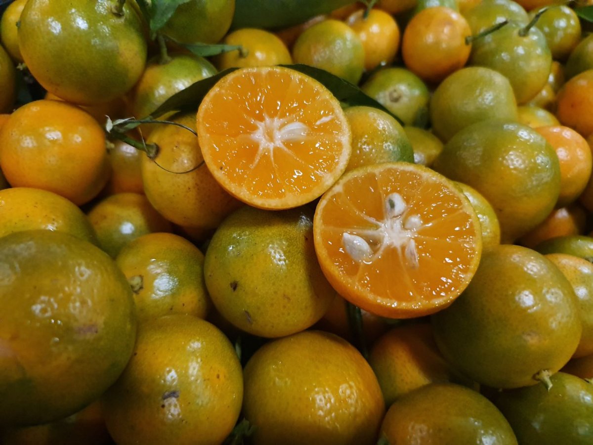 Foto: Ruth Jucá/ADS