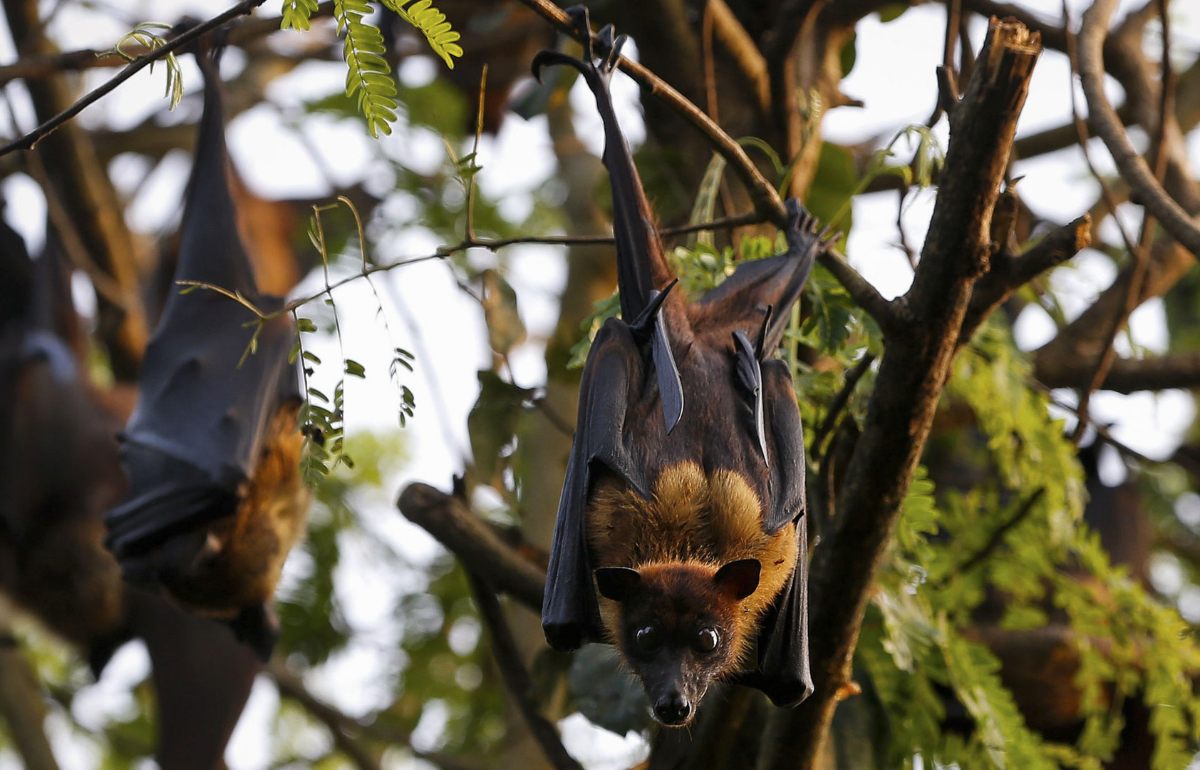 Foto: Sivaram V/Reuters