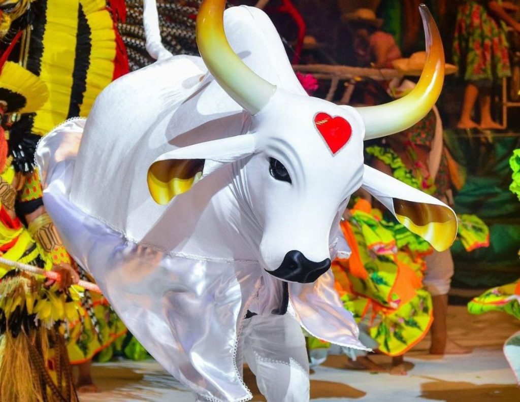 Foto: Daniel Brandão/Reprodução/Instagram/@boigarantido