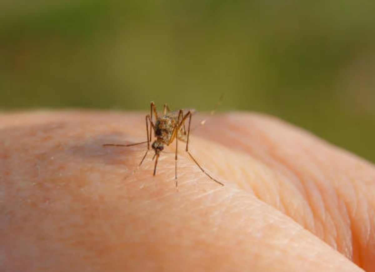 Foto: Reprodução/iStock
