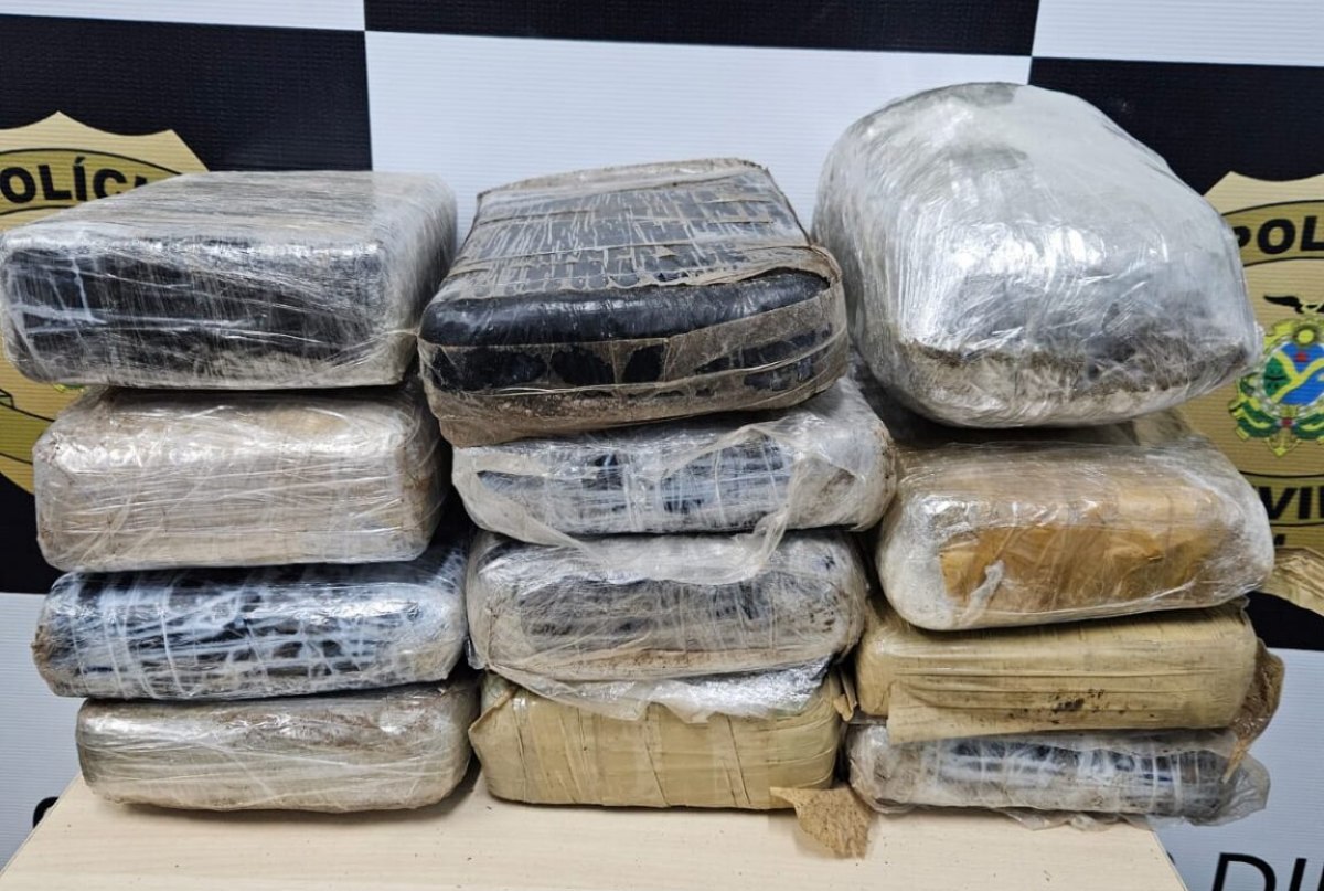 Foto: Erlon Rodrigues Divulgação/PC-AM