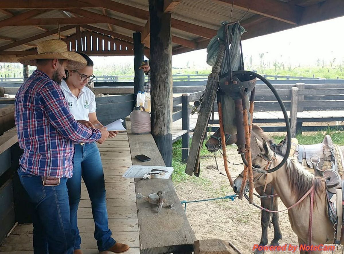 Foto: Divulgação/Adaf