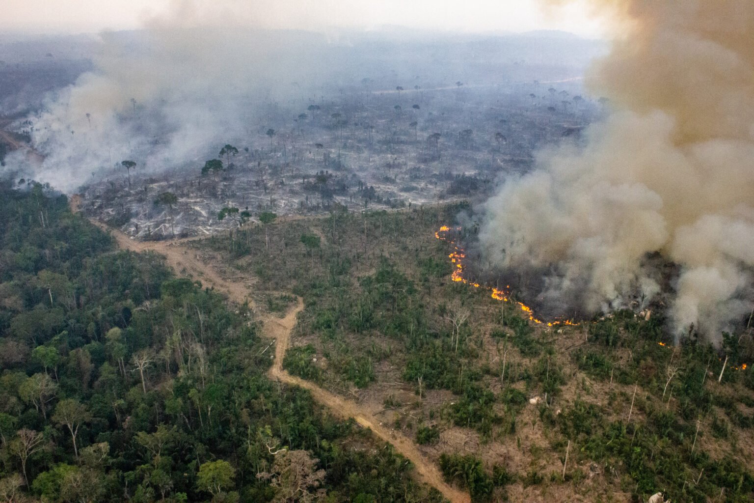 Foto: Fábio Bispo / InfoAmazônia