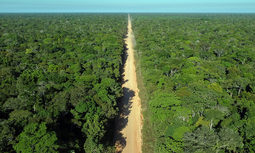 Vista aérea da BR-319 no Km 272 próximo comunidade Igapó-Açu, no Amazonas. Foto: Michael Dantas