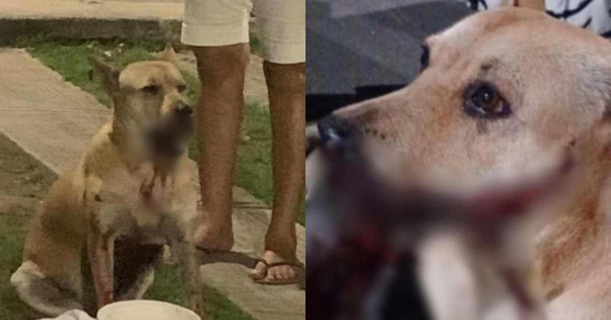 Foto: Cotidiano / Reprodução