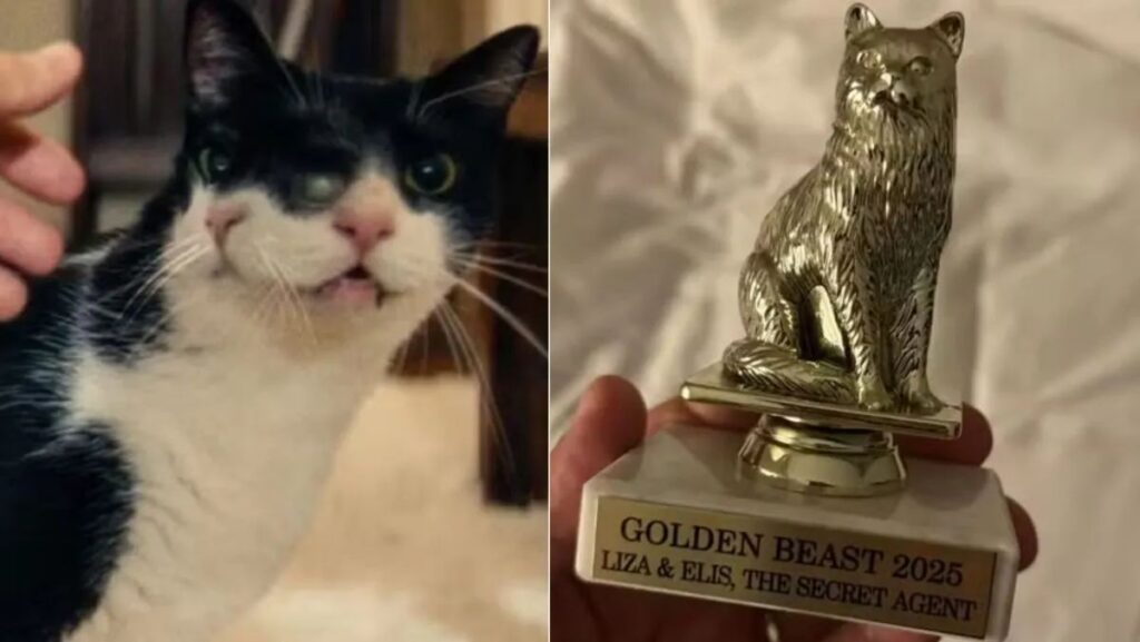 Foto: Reprodução/Internet