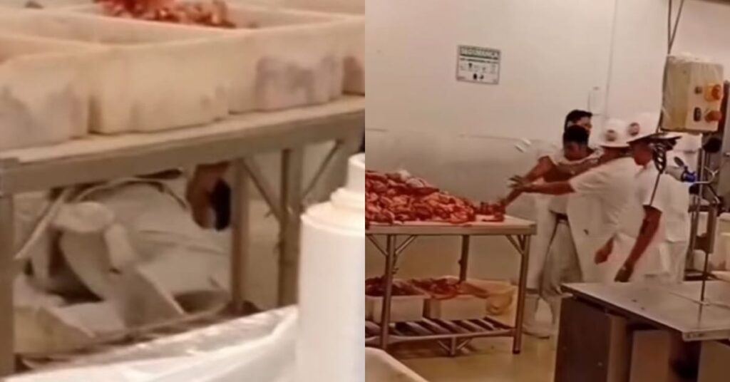 Foto: Reproduções/Redes Sociais