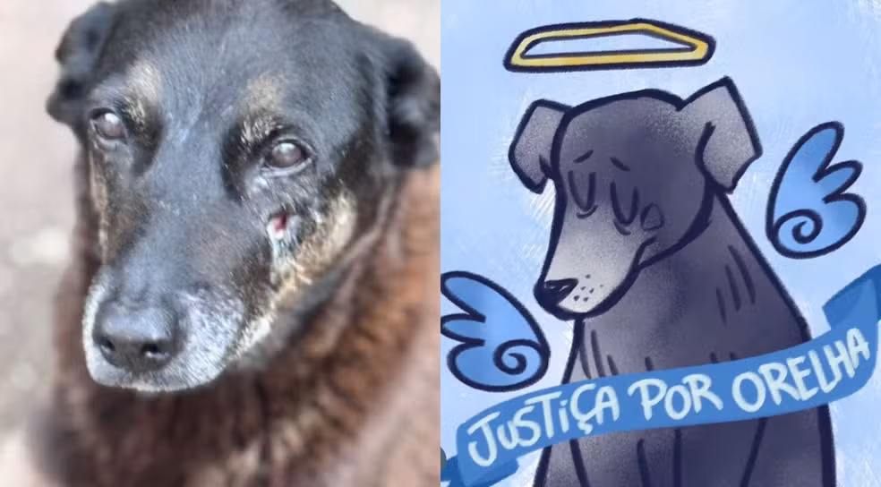 Foto: Reprodução/Redes Sociais