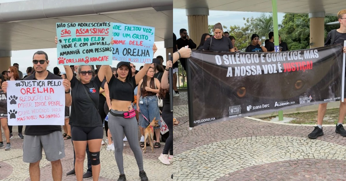 Foto: Reprodução/Rafaela Paladino