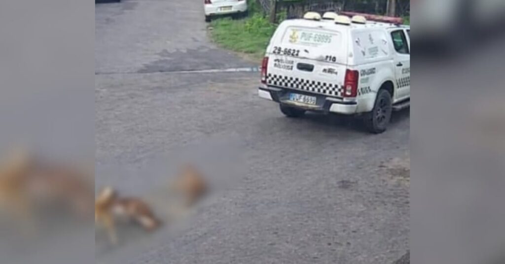 Foto: Reprodução/Internet