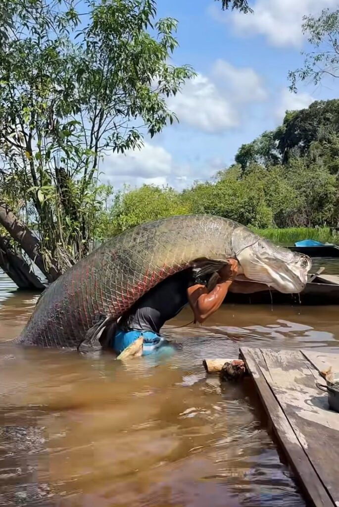 Foto: Reprodução/Redes Sociais