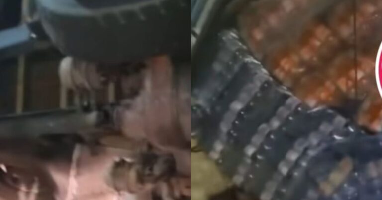 Foto: Reprodução/Redes sociais