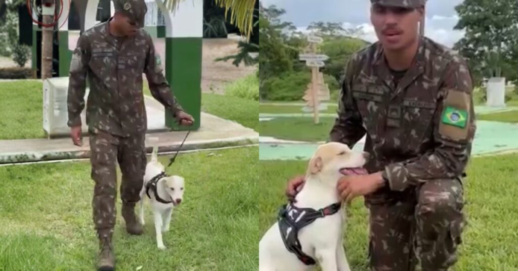 Foto: Reprodução/Redes Sociais