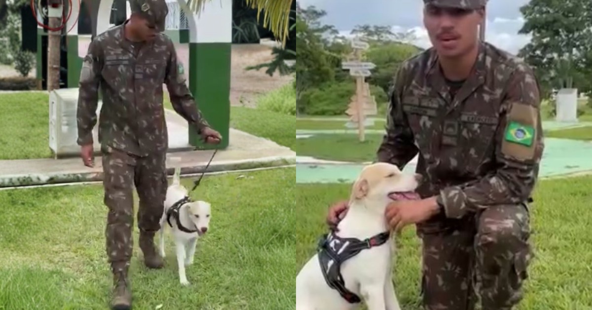 Foto: Reprodução/Redes Sociais