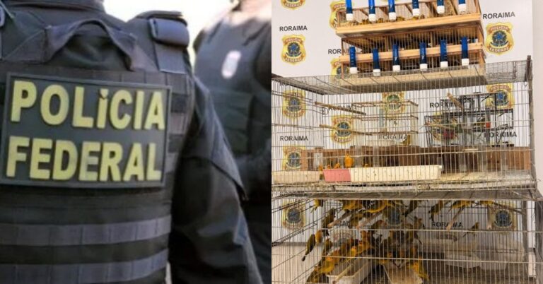 Foto: Reprodução/Polícia Federal