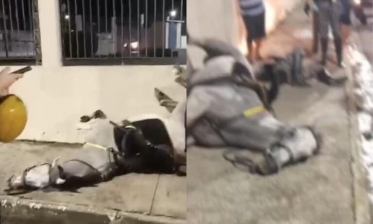 Foto: Reprodução/Redes Sociais