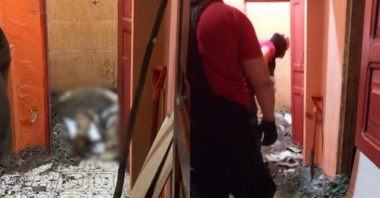 Foto: Reprodução/Redes Sociais