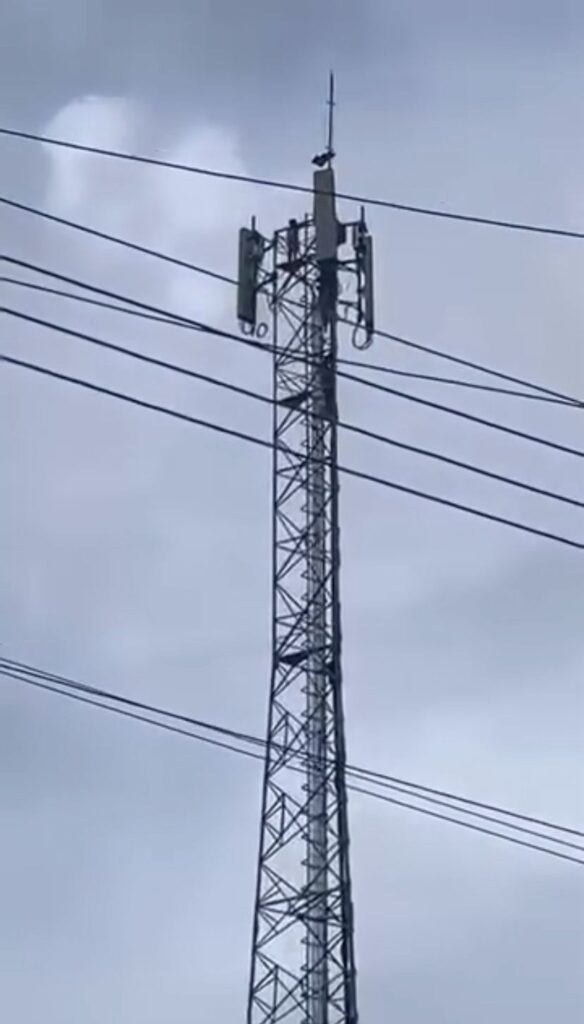 Foto: Reprodução/Internet