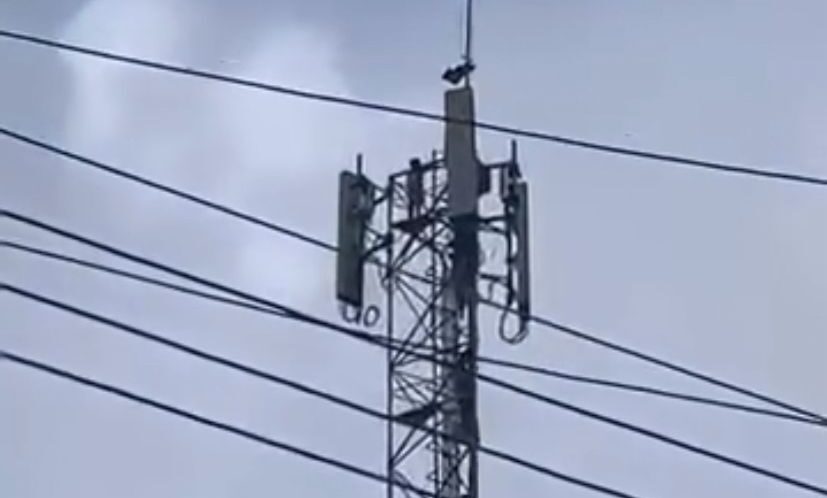 Foto: Reprodução/Internet