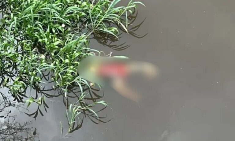 Foto: Reprodução/Internet