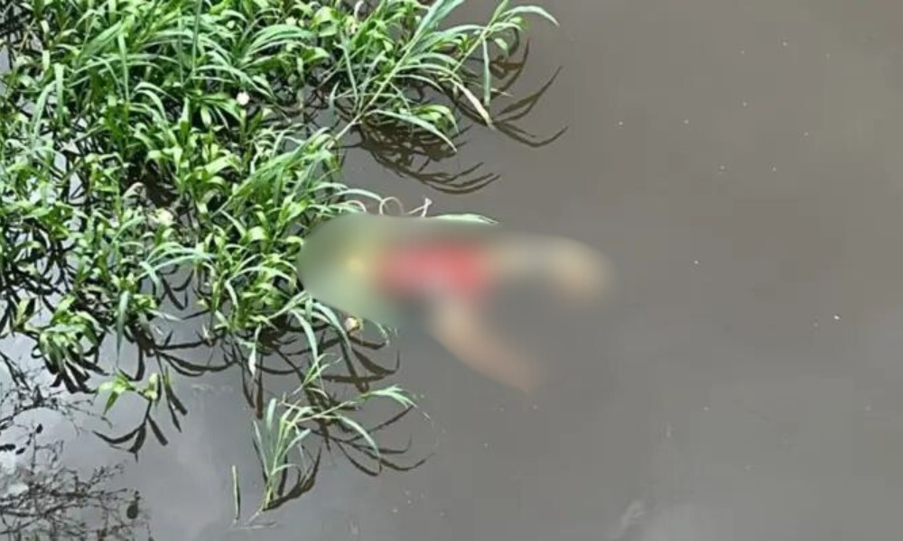 Foto: Reprodução/Internet