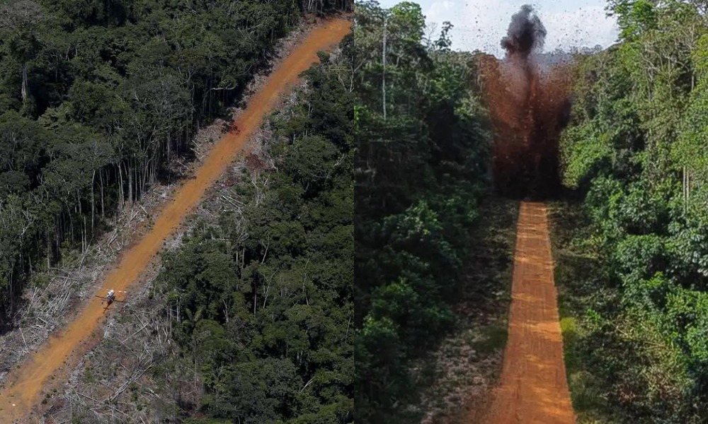 Foto: Reprodução/Internet