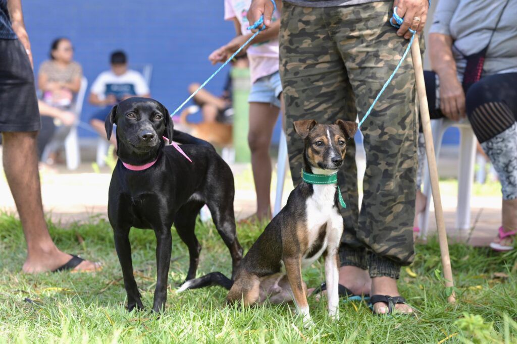 Foto: Reprodução/Sepet-AM