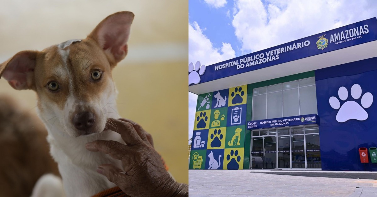 Foto: Reprodução/Sepet