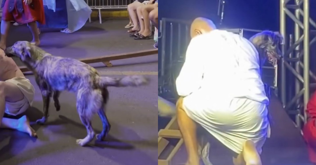 Foto: Reprodução/Redes Sociais