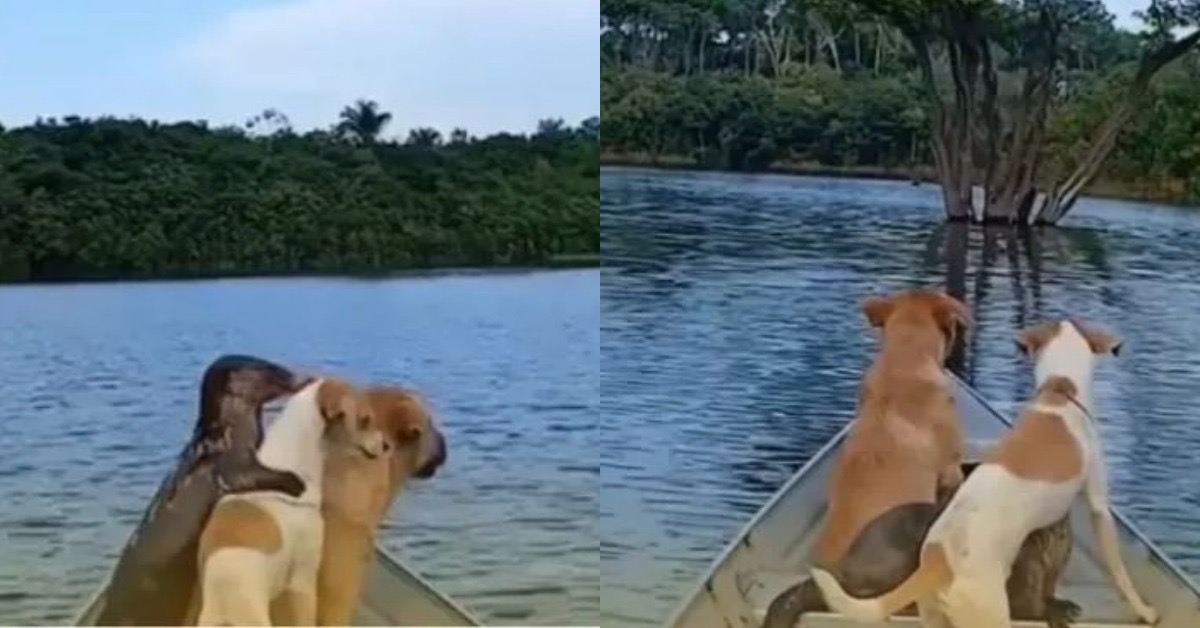 19f13719-2807-4b1f-a3ec-416e2729f722