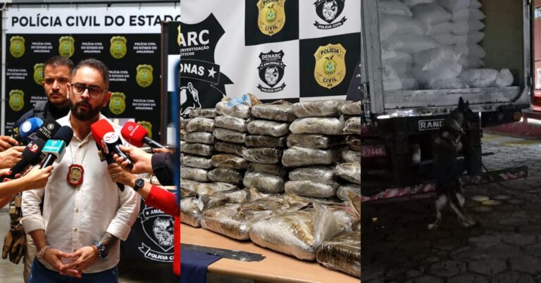 Foto: Reprodução/Polícia Civil