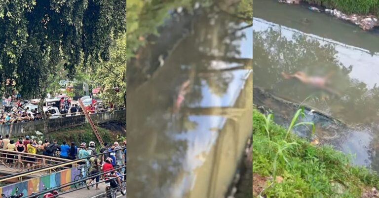 Foto: Reprodução/ Portal Se Liga Manaus