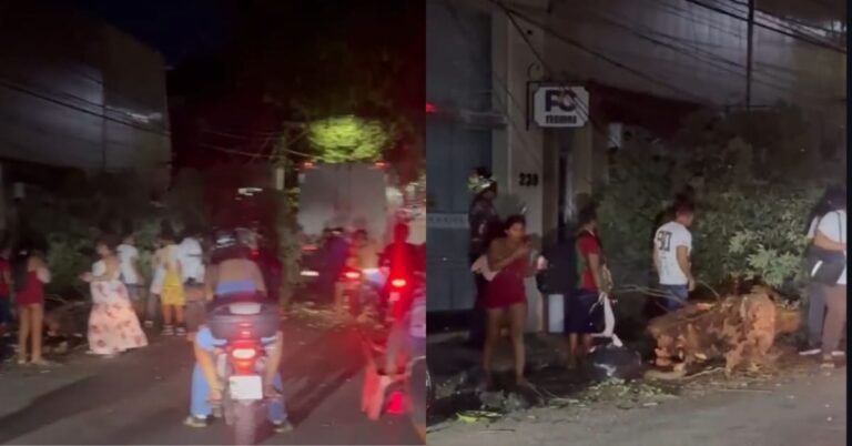 Foto: Reprodução/Internet