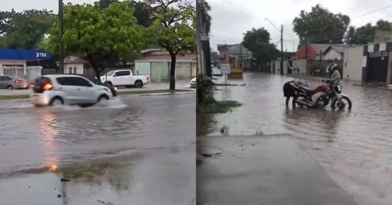 Foto: Reprodução/Portal G1