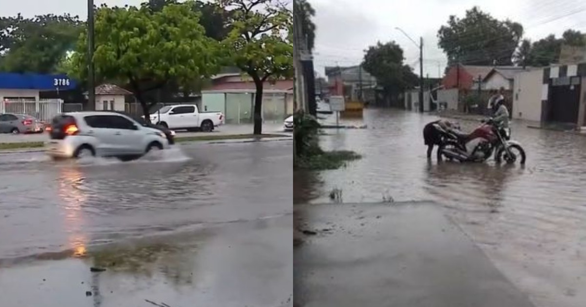 Foto: Reprodução/Portal G1