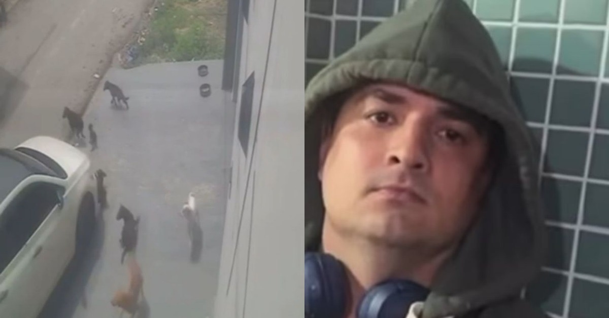 8b202d8d-80ef-44f0-808e-4da51fa7d560