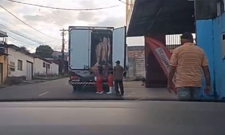 Foto: Reprodução (@seligamanaus)