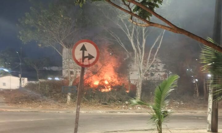 Foto: Especial para o Portal Dia a Dia Notícia