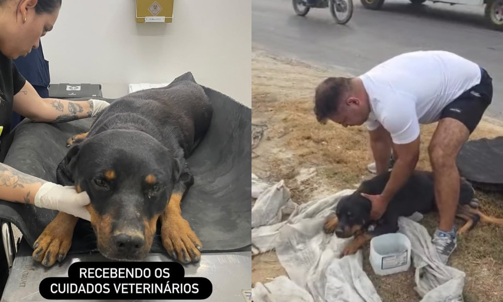 Foto: Reprodução