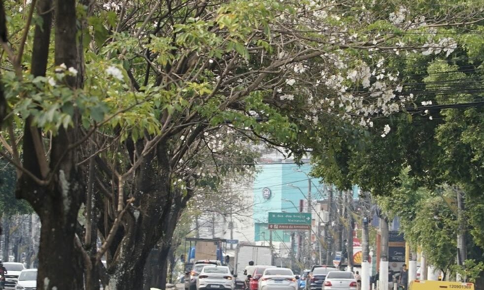 Foto: Reprodução/Assessoria